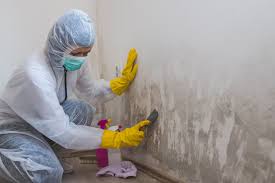 Best Crawl Space Mold Remediation  in Potomac Park, CA